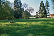 Le parc